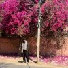 Abhishek Bisht