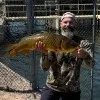 Jared Hemus