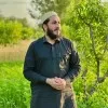 Rizwan Ullah