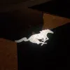 Robert