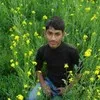 Rupesh Kumar