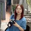 Linh Linh