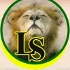 LIONESS SAFARI