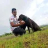 Shailesh Shetty