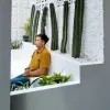 Aditia Anwar