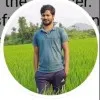 Harinath Reddy