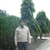 satish rai