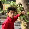 yogesh rawal