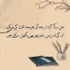 Hafiza Nagina Aslam Khan