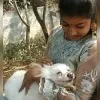 Swetha Sandaka