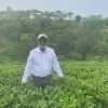 Monirul Islam Bhuiyan