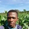 Phocit Mugisha
