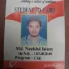 nazidul islam
