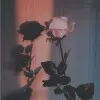 Marwa