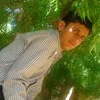 Vikas Rajpurohit