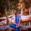 M Farid