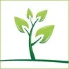 Magnum Insurance Broking Pvt LTD