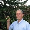 Mark Schneider