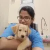 sai sree