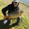 Willemse