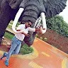 Debjit banerjee