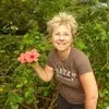 Erika Squires