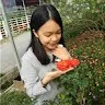 Sin Yi