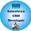 SF CRM Developers