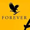 flp international