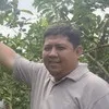 Ari Sukmawibowo