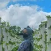 Dhiah Dharmastuti