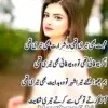 Faizan Sameem