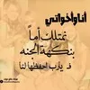 marwa nemr