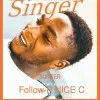 P NICE Artist