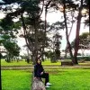 Madiha Immad