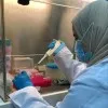 Abeer Ali