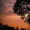 Nasreen Kashif