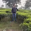 Alok Rai