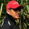 adi widodo
