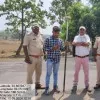 Dharmendra Yadav