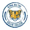 Collin College Student