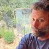 John Shea
