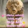 Lokesh