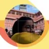 shreya chandy