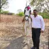 Vivek Nangare