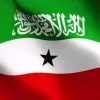 mohammed Yusuf yalkub