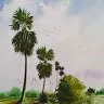 S CHATTERJEE