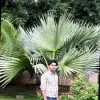 RAMKRISHNA YADAV