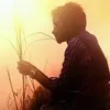 Rahul Dev