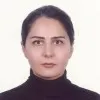shirin fassihi